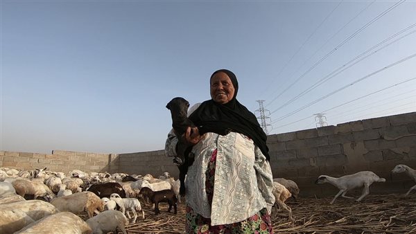 المعلمة فاطمة صديق