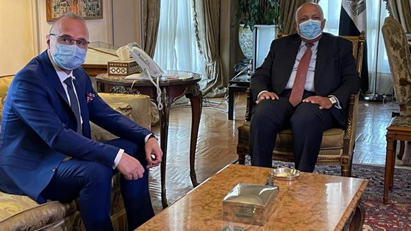 سامح شكري وزير الخارجية