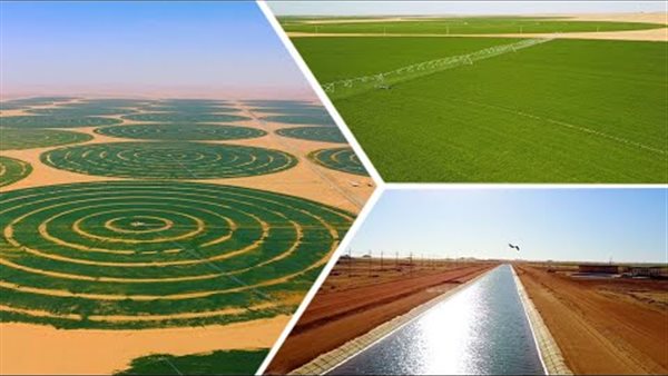 مشروع توشكى الخير