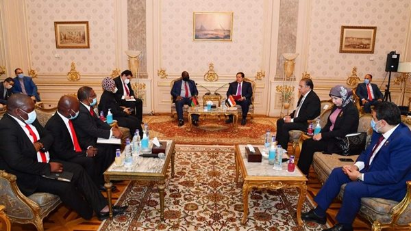 لجنة الشئون الافريقية