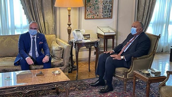 سامح شكري وزير الخارجية