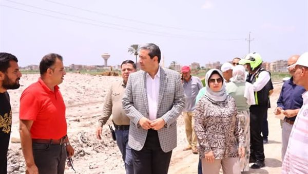 الدكتور أيمن الشهابى