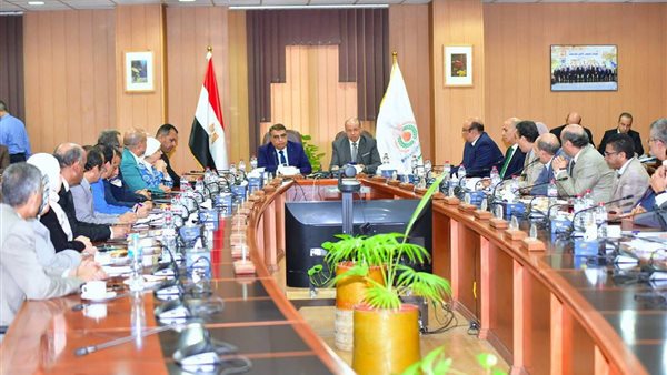 محافظ الدقهلية