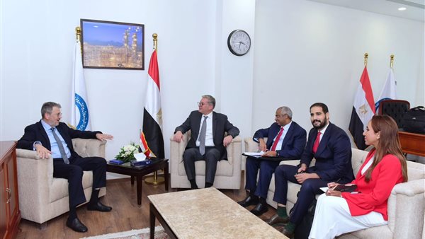 المهندس كريم بدوي