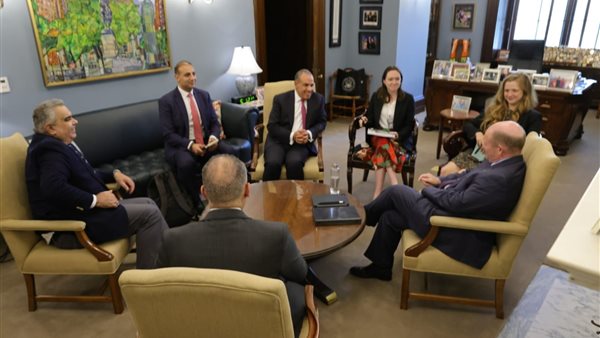 د. بدر عبد العاطي