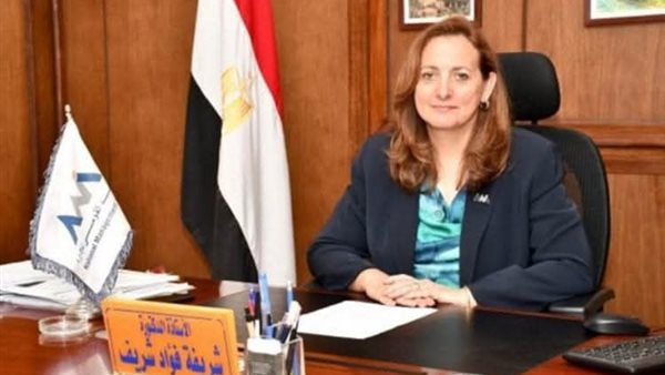 المجلس القومي للمرأة