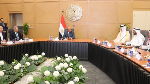  وزير الكهرباء