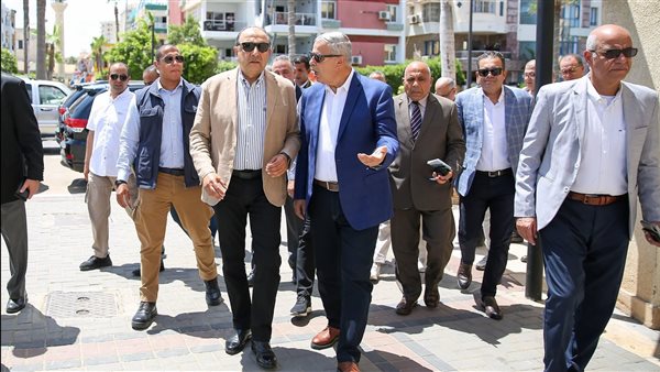 وزير قطاع الأعمال