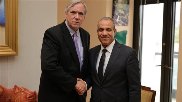 الوزير الخارجيه المصريه