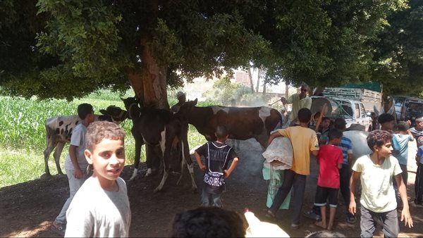 قوافل بيطرية مجانية