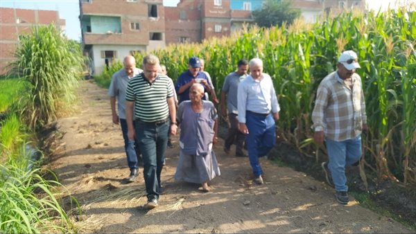 حقول الشرقية 