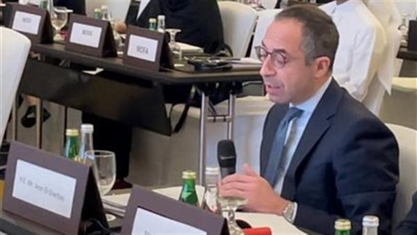 سفير مصر بالدوحة