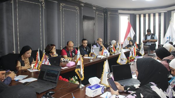 مجلس الشباب المصري