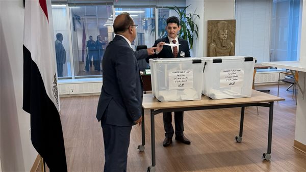 صورة توضيحية 