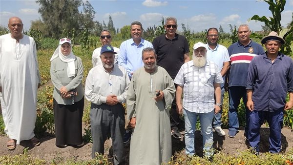 الحقول بالبحيرة