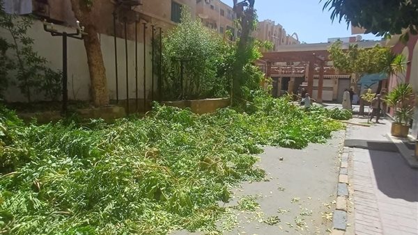 محافظة أسوان 