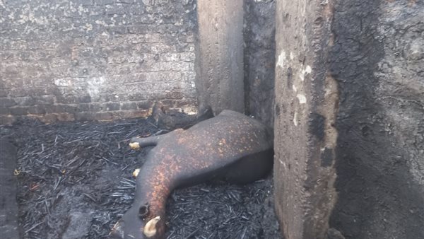 جانب من الحريق