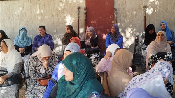 انتخابات مجلس الشيوخ