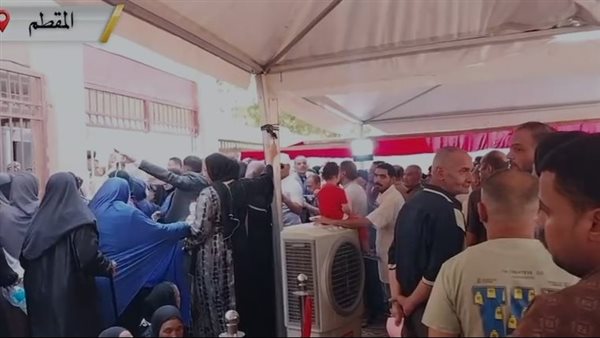 انتخابات مجلس الشيوخ