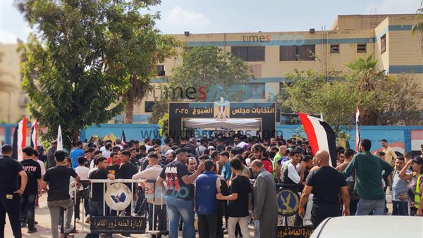 انتخابات الشيوخ بالشرقية