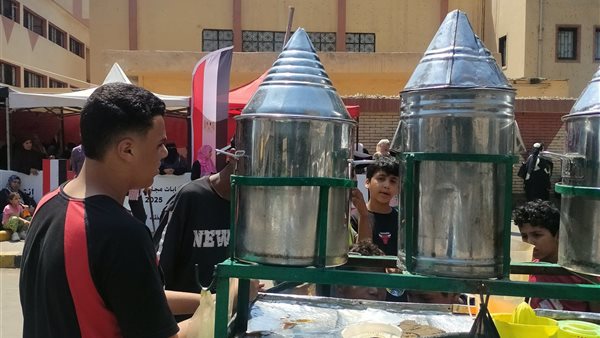 انتخابات الشيوخ 2025