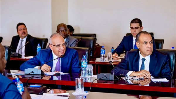 وزيرا الرى والخارجية