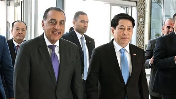 الدكتور مصطفى مدبولي