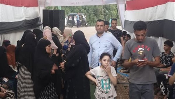 انتخابات مجلس الشيوخ