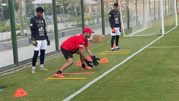 المنتخب الوطني مواليد