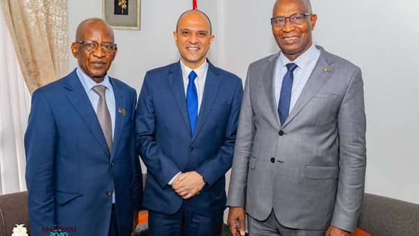  رئيس الوزراء الغيني