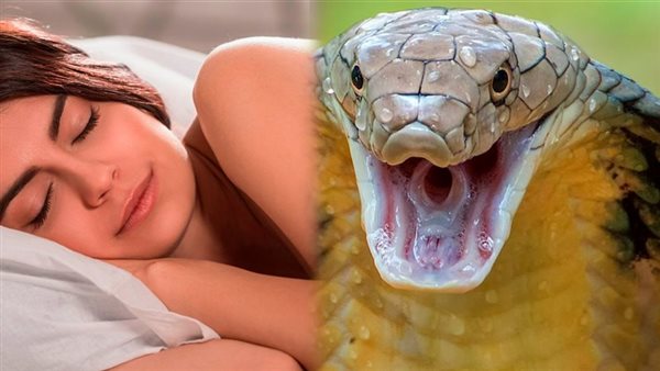 تفسير حلم الثعابين