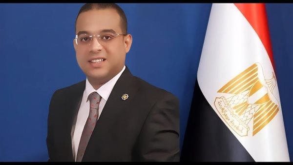 الاقتصادي محمد محمود