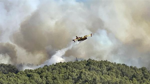 حرائق الغابات في