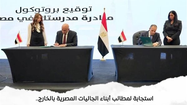 وزير الخارجية المصري