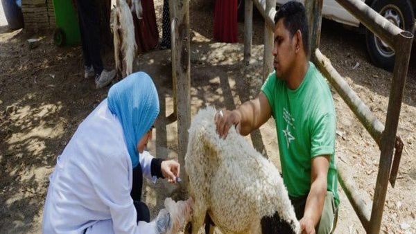 الهيئة العامة للخدمات