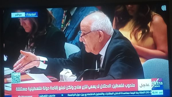 مندوب فلسطين في الأمم