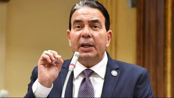 أيمن أبو العلا