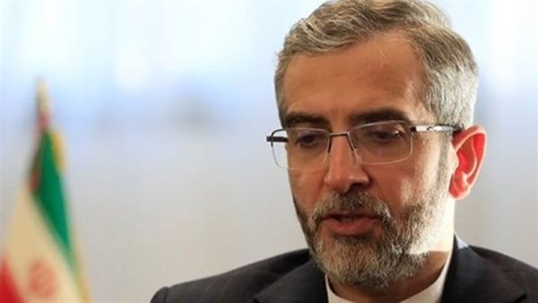 نائب وزير الخارجية