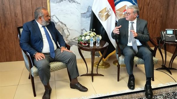 المهندس كريم بدوي