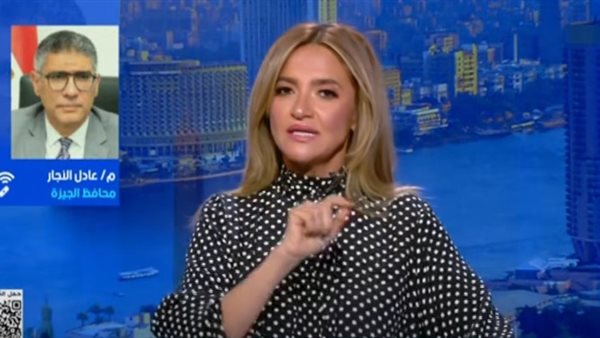 المهندس عادل النجار