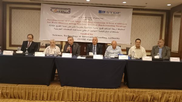 الورشة الختامية لمشروع