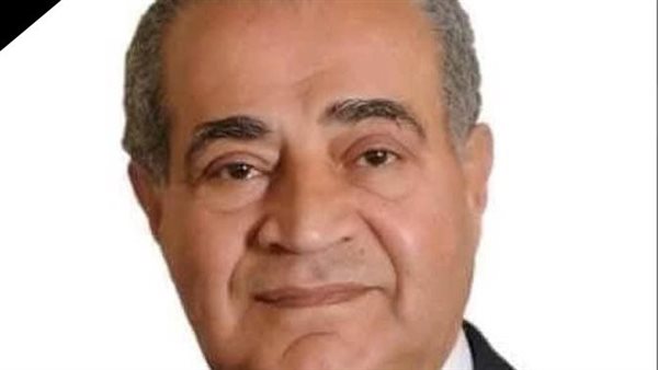 الدكتور على المصيلحى