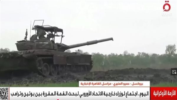 الأزمة الأوكرانية