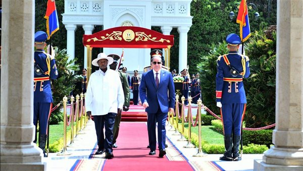 الرئيس السيسي