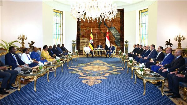 الرئيس السيسي