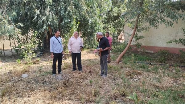 إقامة مناحل لإنتاج