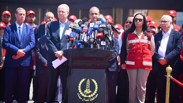 الدكتور بدر عبد العاطي