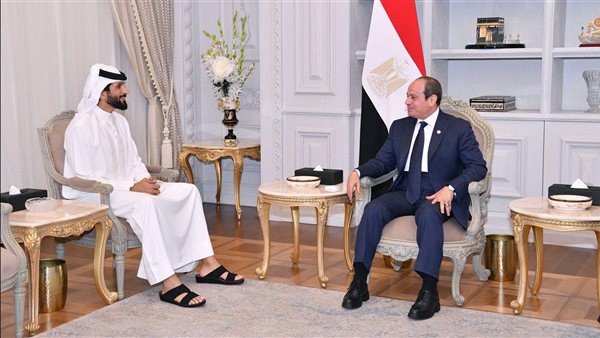 الرئيس السيسي خلال