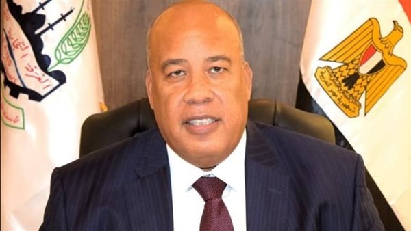 د أيمن العشري 