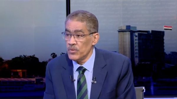  الكاتب الصحفي ضياء